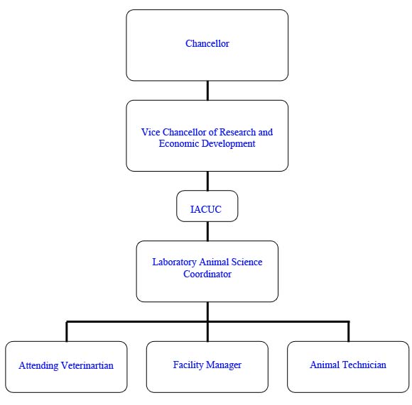 Organizational Diagram